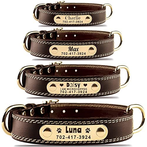 Personalized Leather Dog Collar with Engraved Nameplate - image 1