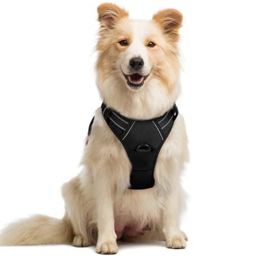 rabbitgoo Dog Harness, No Pull Medium Sized with 2 Leash Clips