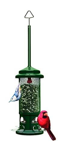 Best Bird Feeders 2026