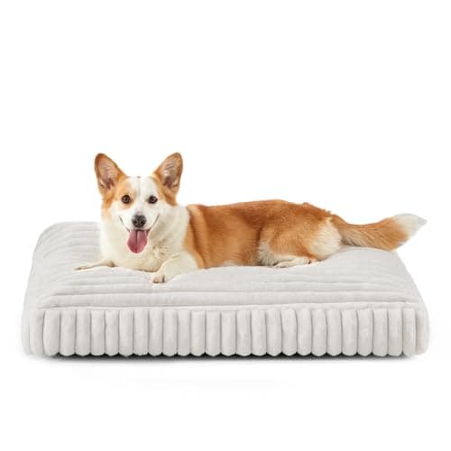Dog Bed Medium Size Dog, Flat Pet Beds with Removable Washable Cover
