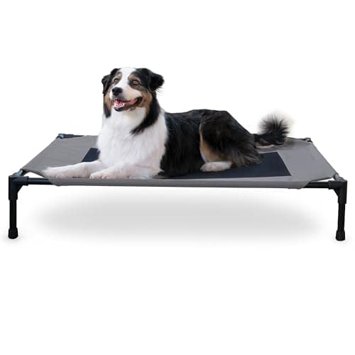 K&H Pet Products Coolin' Elevated Pet Cot - image 1