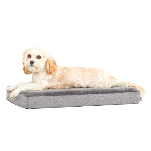 BarkBox Memory Foam Dog Bed - image 1
