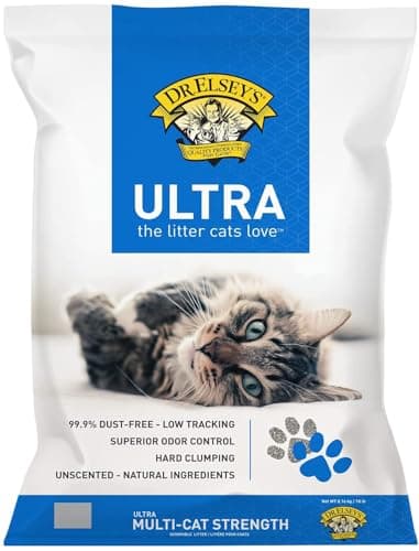 10 Best Cat Litter of 2026