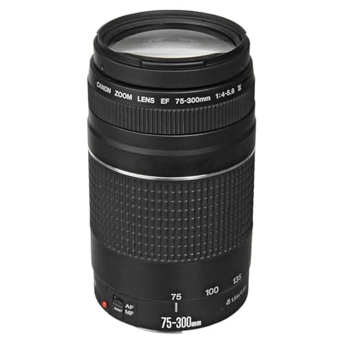 Canon EF 75-300mm f/4-5.6 III Telephoto Zoom Lens for Canon SLR Cameras