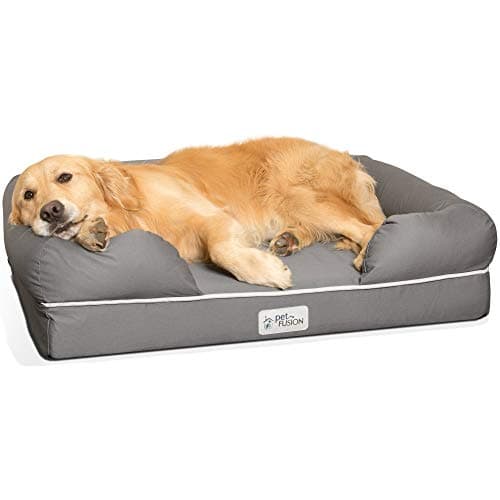 10 Best Dog Beds of 2026