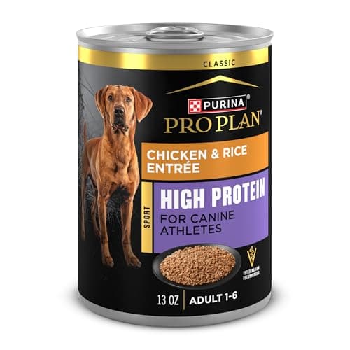 10 Best Dog Foods in 2026