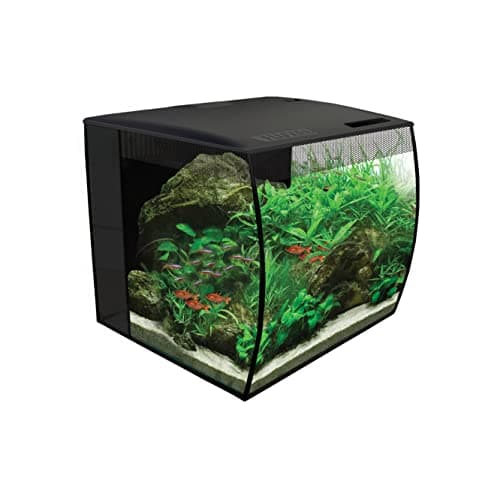 10 Best Fish Tanks & Aquariums of 2026