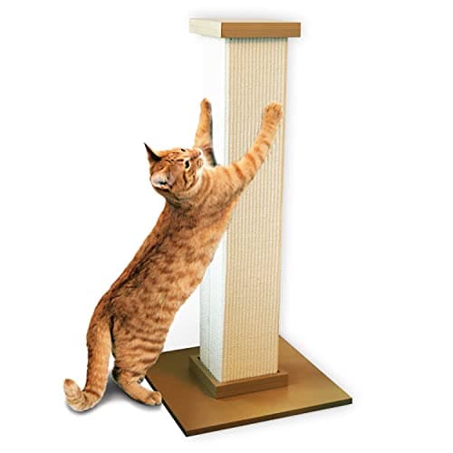 Best Cat Scratching Posts of 2026