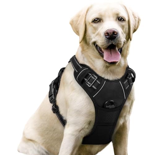 10 Best Dog Harnesses of 2026