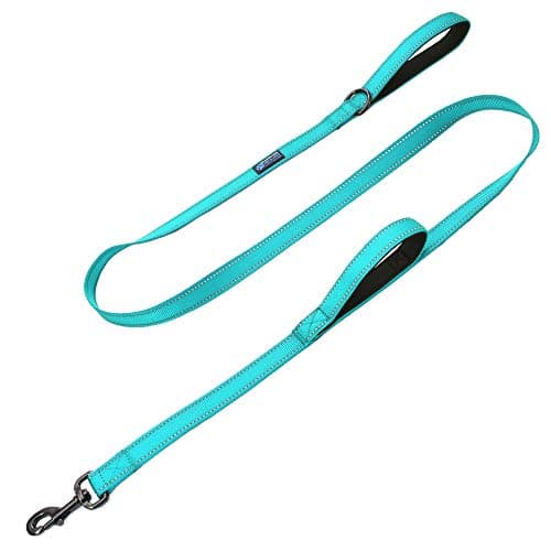 Max and Neo Double Handle Reflective Dog Leash - image 1
