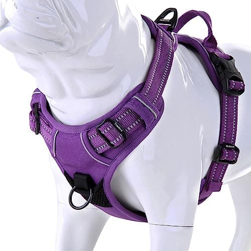 Chai's Choice Best Outdoor Adventure Dog Harness - image 1