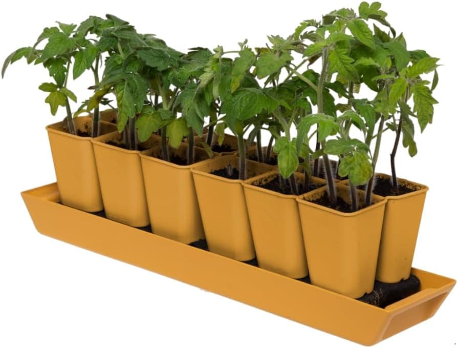 Gardener's Best XL Self-Watering Seed Starting Kit - image 1