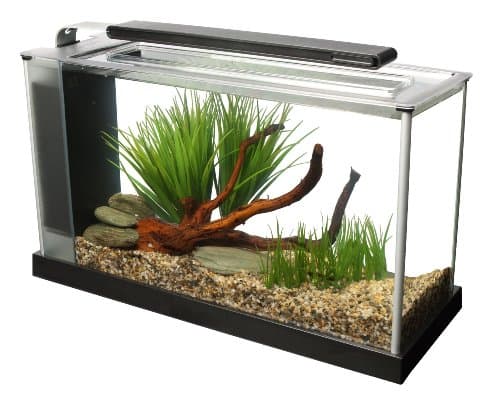 Fluval Spec V Aquarium Kit 5-Gallon - image 1