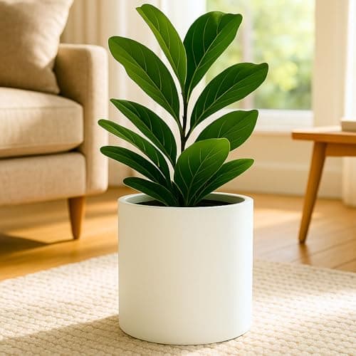 Fox & Fern Modern Plant Pot with Drainage Hole and Saucer - image 1