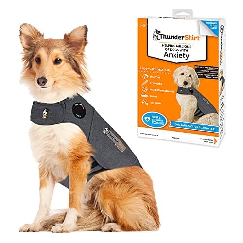 Best Pet Anxiety Products for Fireworks of 2026