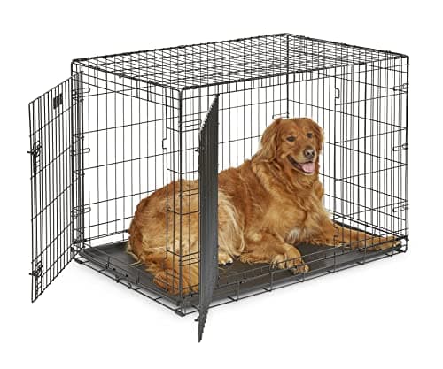 10 Best Dog Crates of 2026