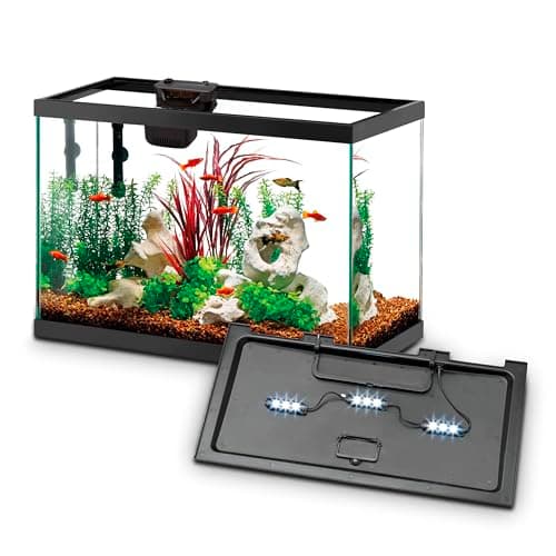 Aqueon Aquarium Starter Kit with SmartClean 10 Gallon - image 1