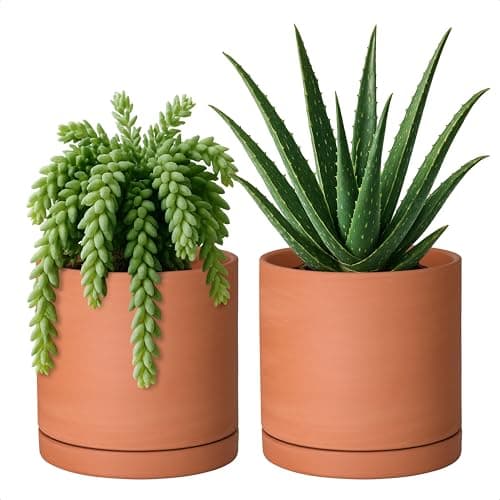 D'vine Dev Terracotta Pots for Plants with Drainage - image 1