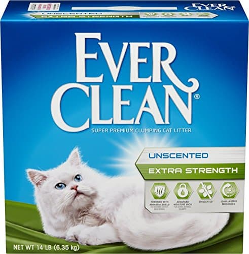 Ever Clean Extra Strength Unscented Cat Litter - image 1