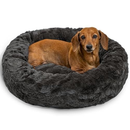 10 Best Cat Beds of 2026