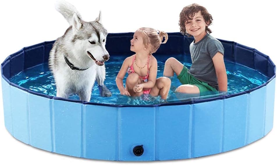 10 Best Dog Pools & Pet Splash Pads in 2026