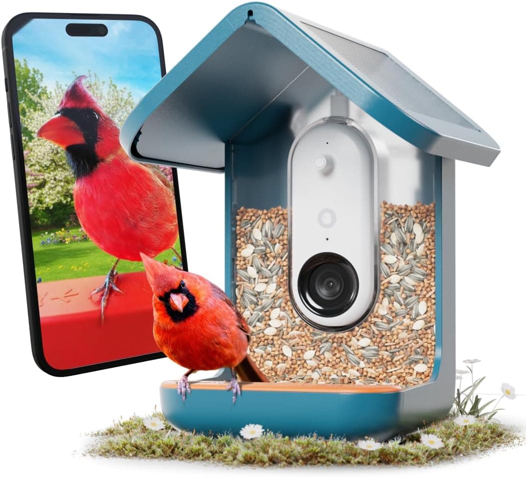 10 Best Smart Bird Feeders in 2026