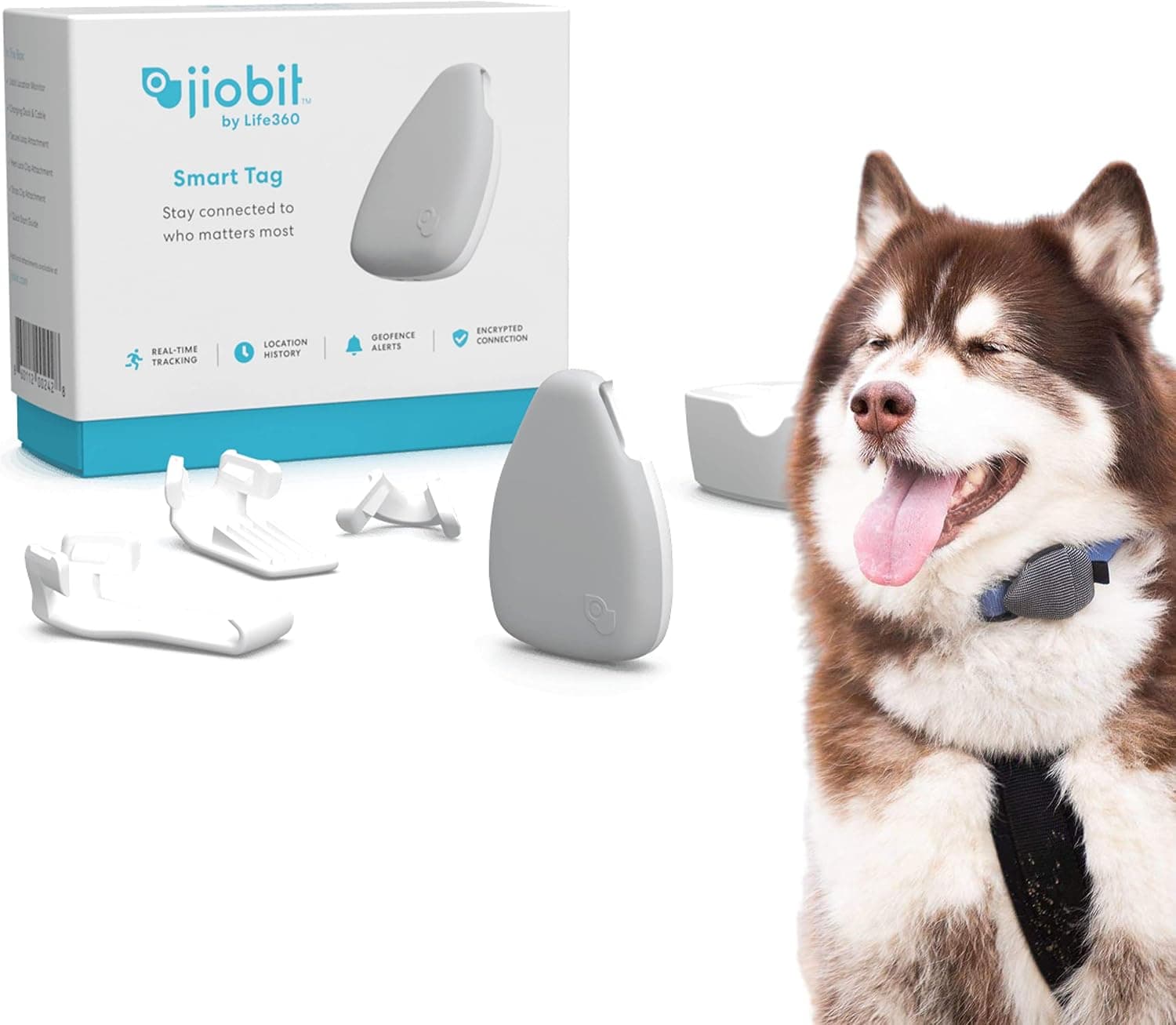 Jiobit GPS Tracker for Dogs and Cats - image 1