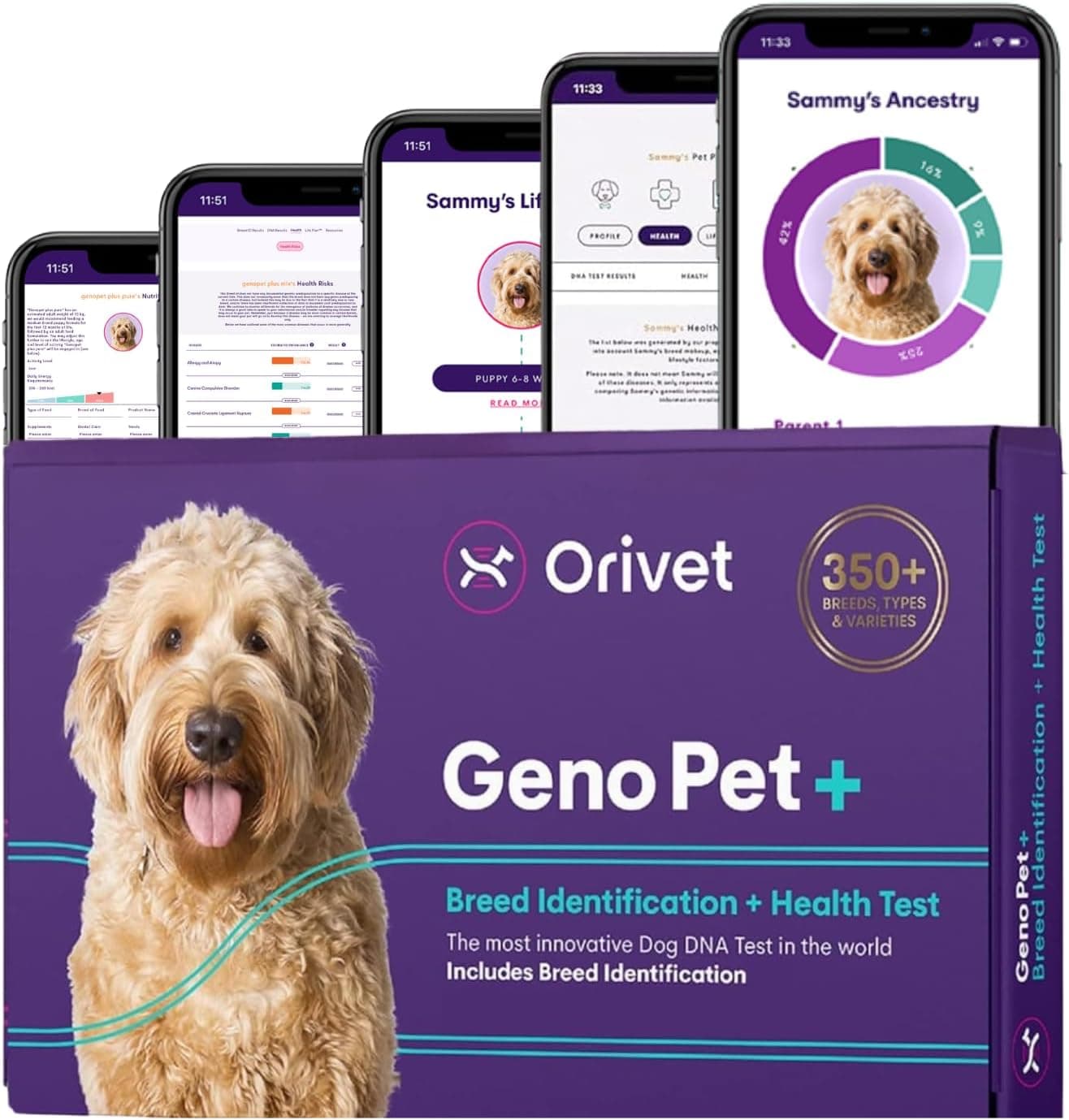 Orivet GenoPet Plus 5.0 Dog DNA Test - image 1