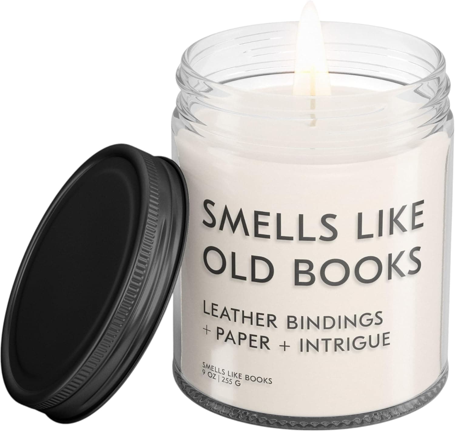 Old Books Bookish Reading Candle (9 oz Soy)
