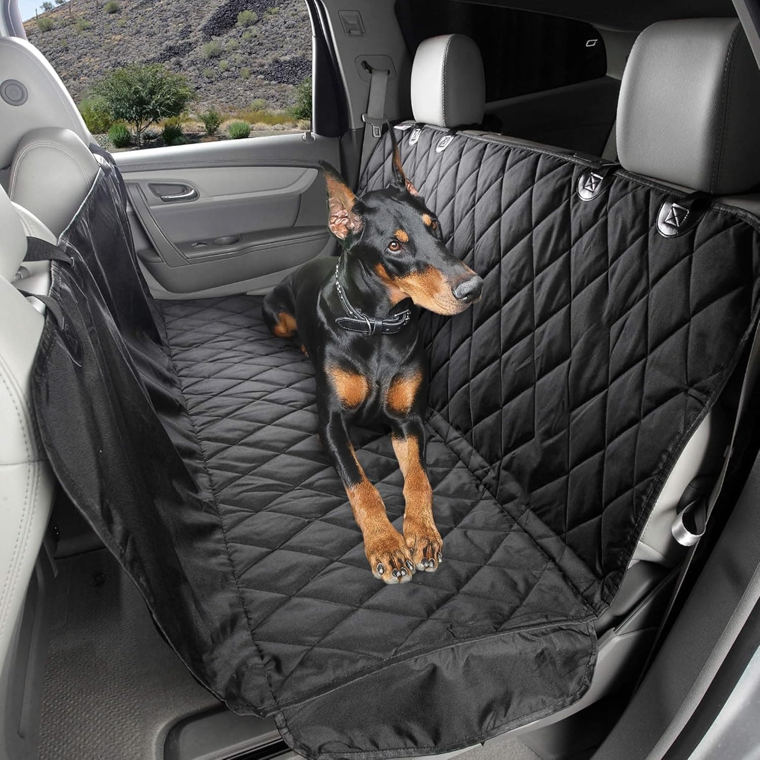 10 Best Dog Car Seat Covers in 2026