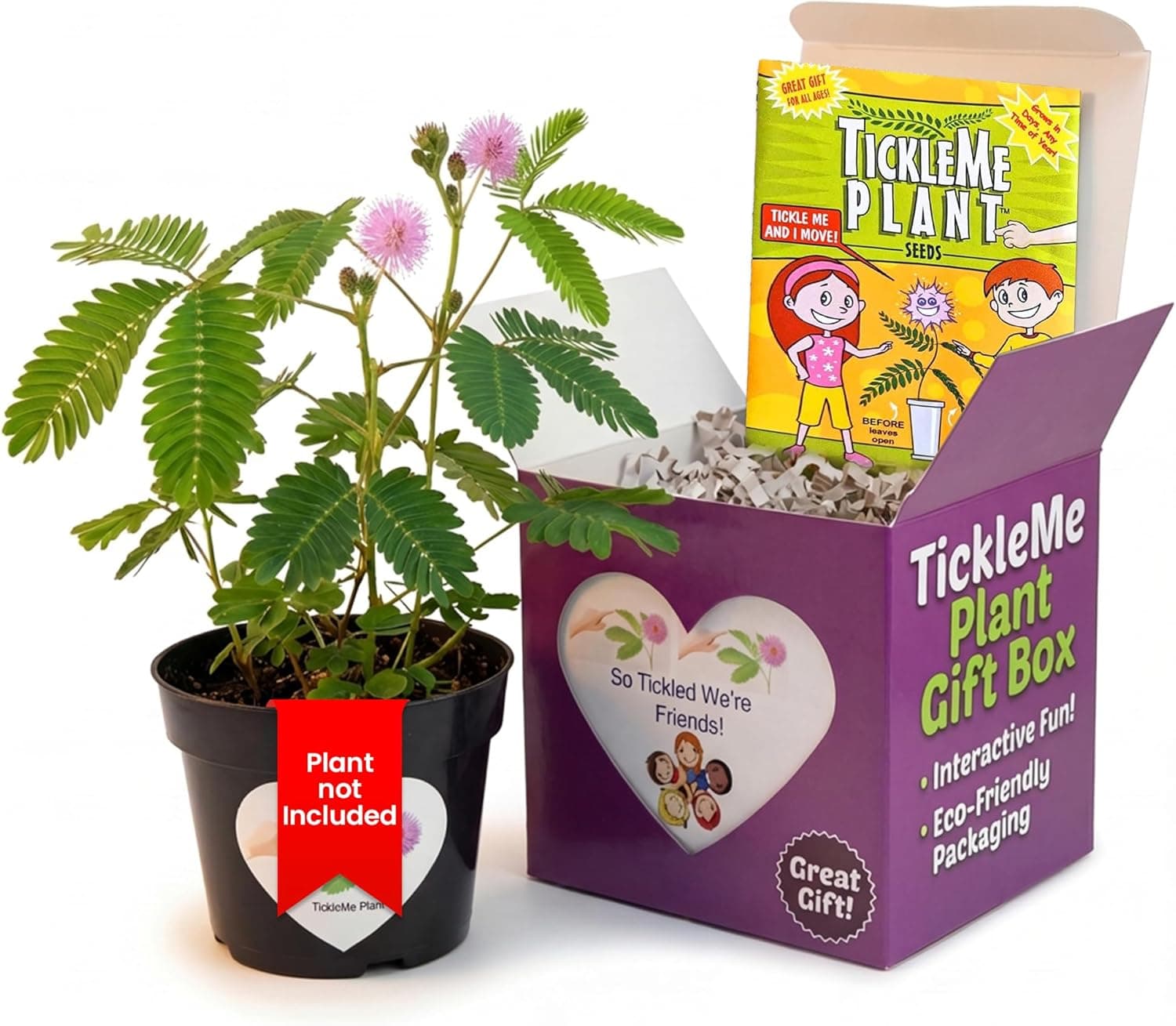 TickleMe Plant Friendship Gift Box - Grow the Plant That Moves - image 1