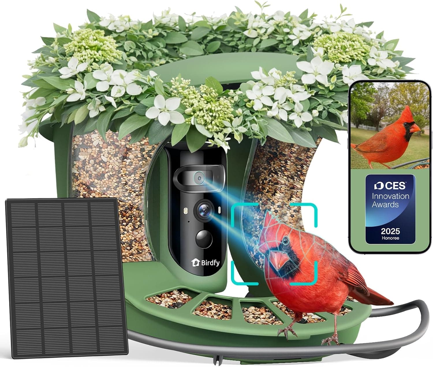 Birdfy 2 Smart Bird Feeder with Dual-Lens Camera - image 1