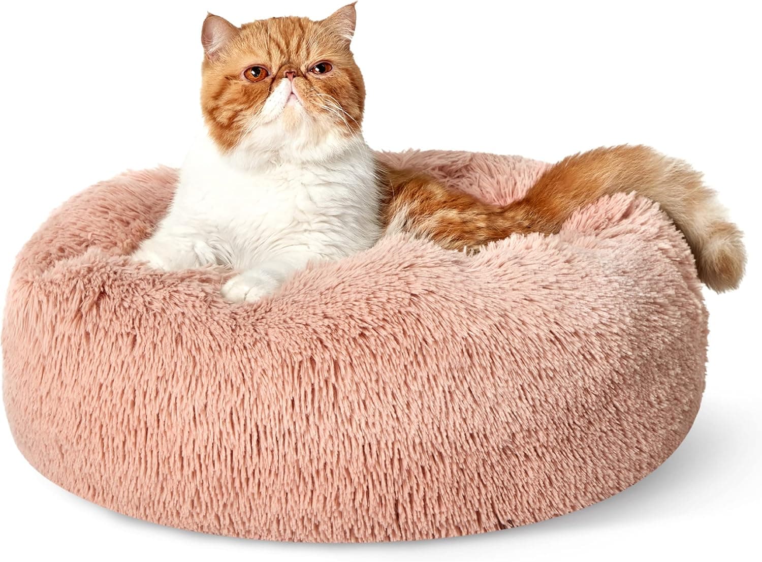 Bedsure Calming Cat Bed for Indoor Cats - image 1